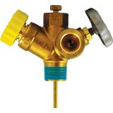 Multi-Purpose Valves