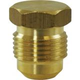Brass Flare Plugs (P2)